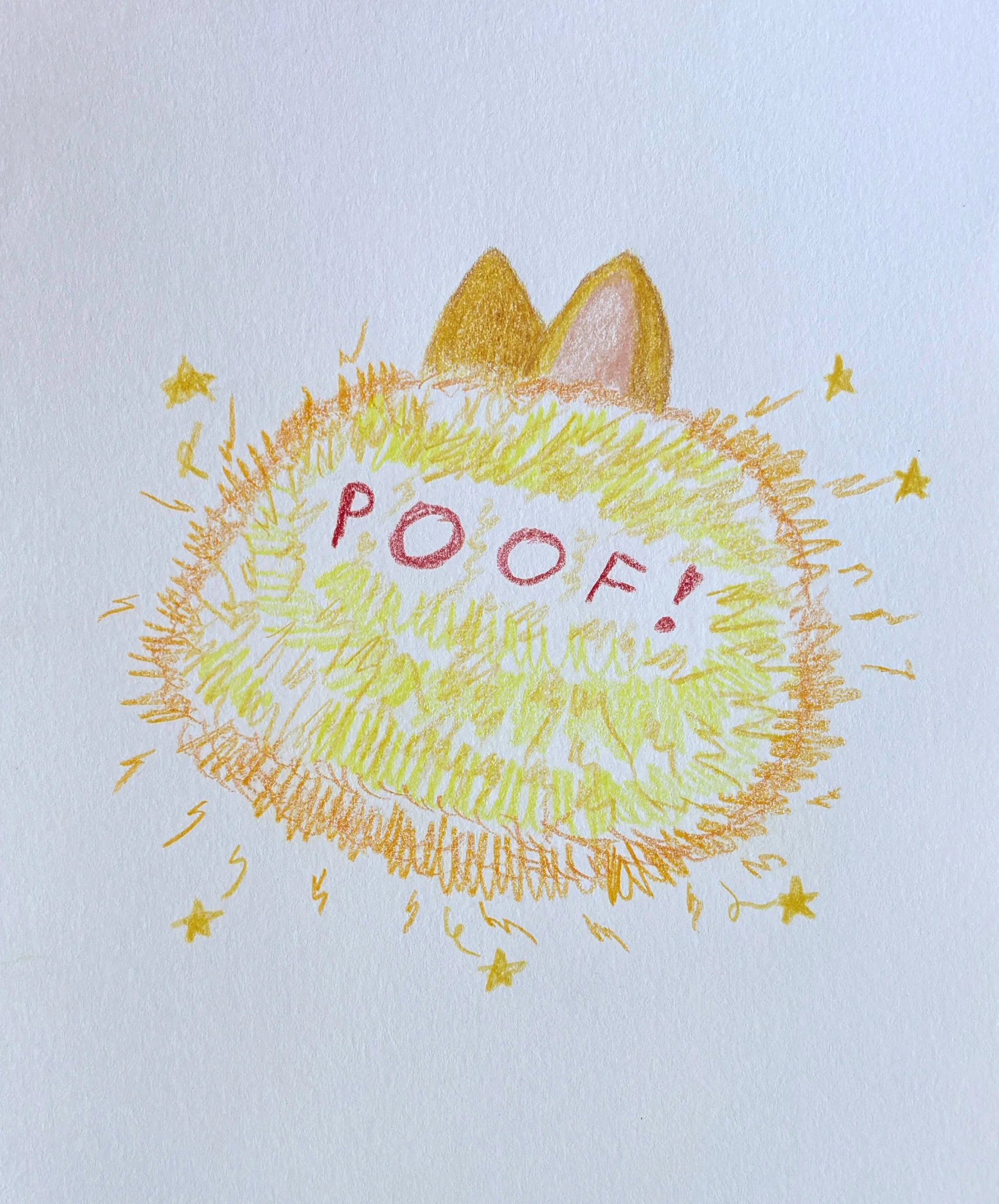 The corgi, now fully transformed into a pumpkin, rests contentedly as the deadline passes
