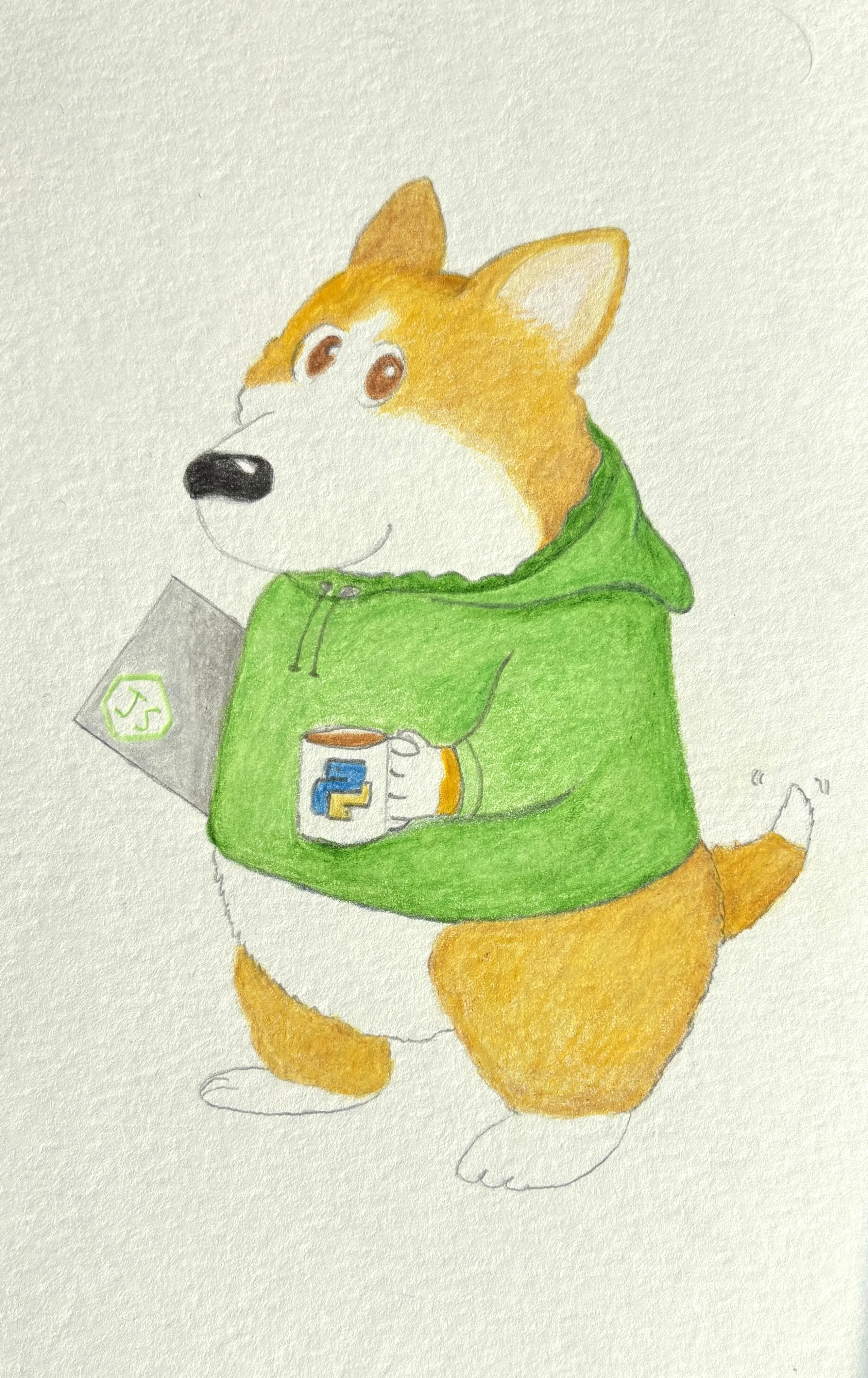 Coding Corgi in a green hoodie holding a laptop with the JavaScript logo and a mug with the Java logo